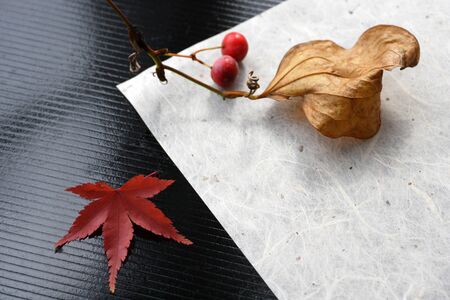 The fall of Japanの写真素材