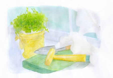 Roxas imageの写真素材