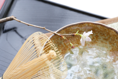 Early flowering cherry tree and bamboo whiskの写真素材