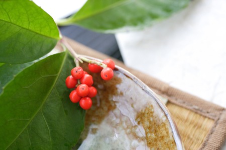 Southern red fruitの写真素材