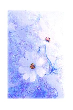 Cosmosの写真素材