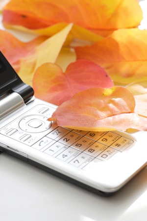 Mobile phone and deciduousの写真素材