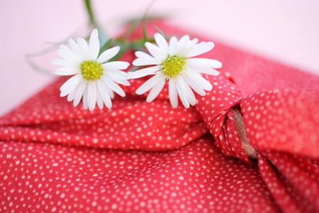 Kjaxouの写真素材