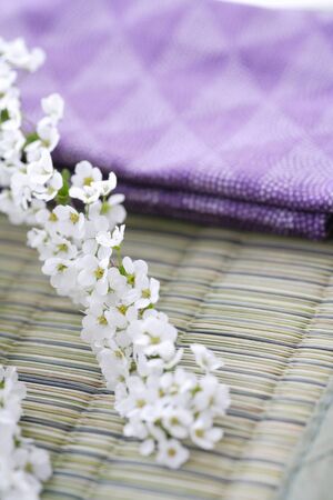 Spiraea thunbergiiの写真素材