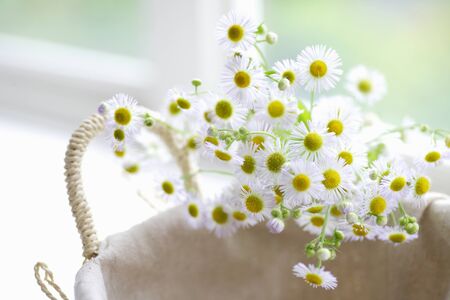 Harginの写真素材