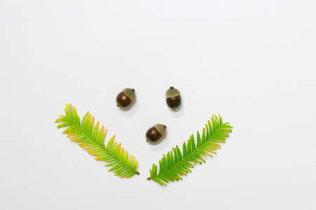 Deciduous and fruit treeの写真素材