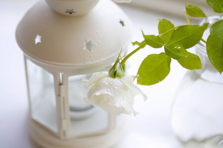 White lamp with rosesの写真素材