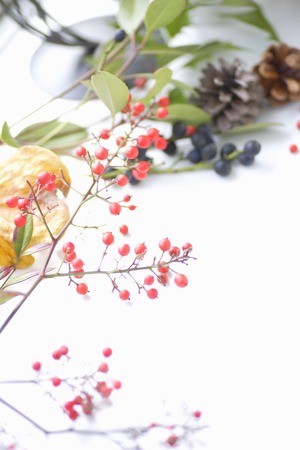 Christmas imagesの写真素材