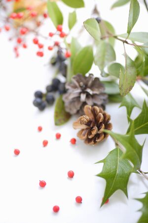 Christmas imagesの写真素材