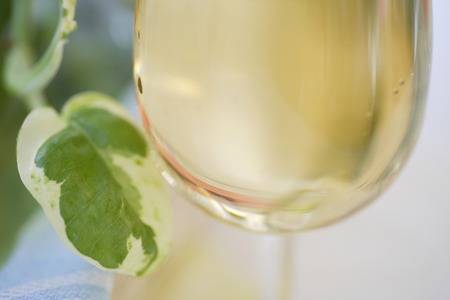 Wineの写真素材