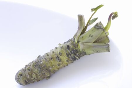 Wasabiの写真素材