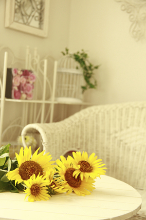 Himawari put on white tableの写真素材