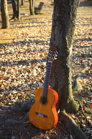 Sunset Park guitarsの写真素材