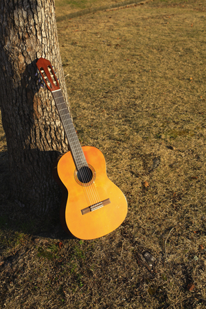 Sunset Park guitars