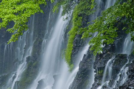 Shiraito waterfall Greenの写真素材
