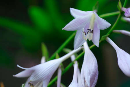 On terminalsの写真素材