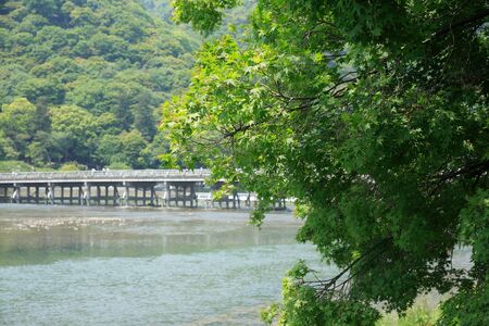 Fresh green of Arashiyama
