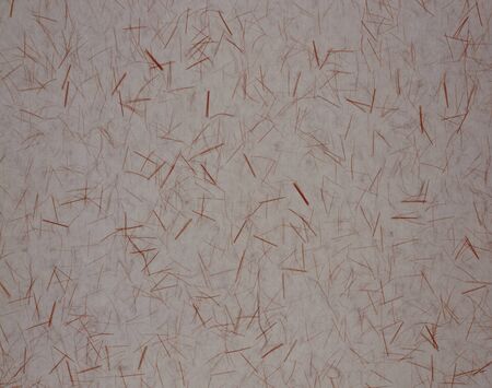 Paperの写真素材