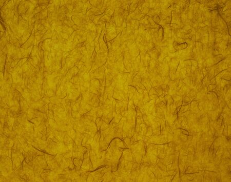 Paperの写真素材