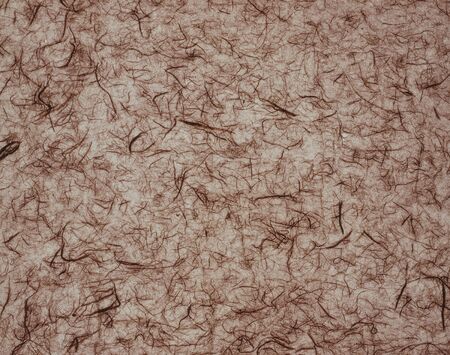 Paperの写真素材