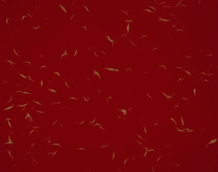 Paperの写真素材