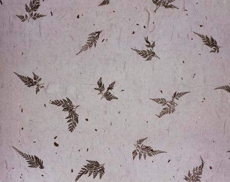 Paperの写真素材