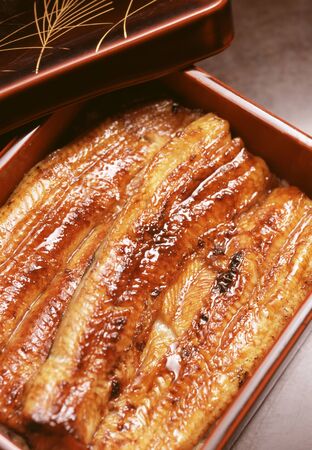 Eel