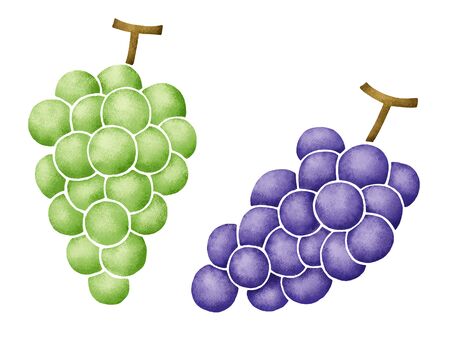 Grapeの写真素材