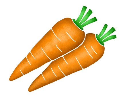 Carrotの写真素材