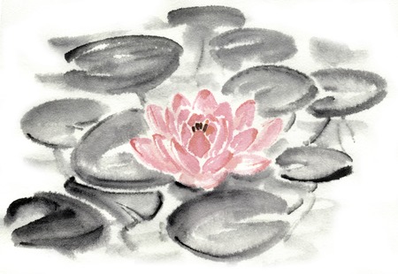 Water liliesの写真素材