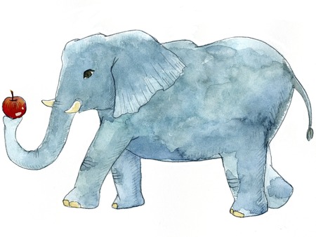 Elephantの写真素材