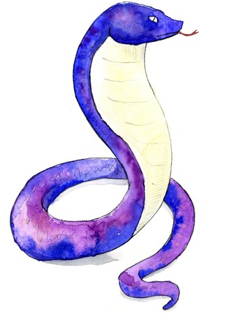 Snakeの写真素材