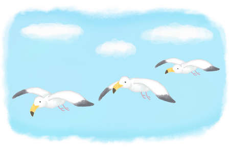 3 Sea Gullの写真素材