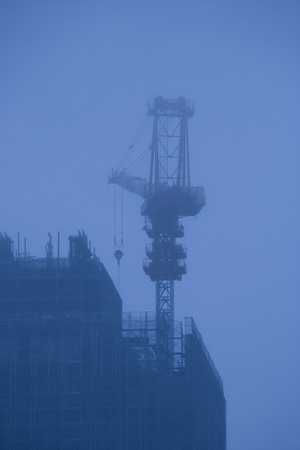 Crane in the Mistの写真素材