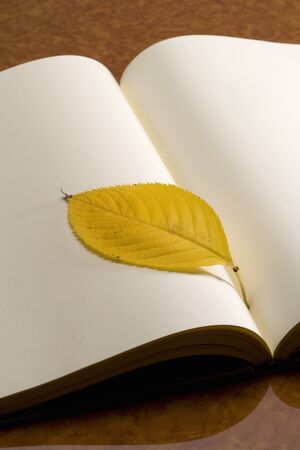 Autumn leavesの写真素材