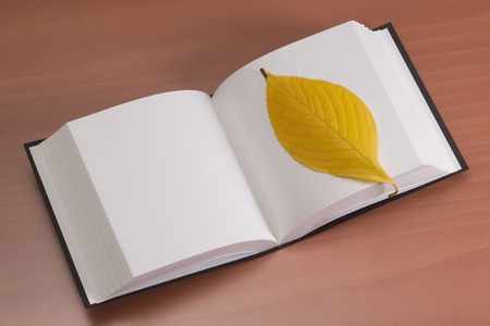 Autumn leavesの写真素材