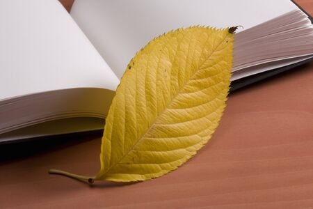 Autumn leavesの写真素材