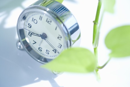 Watch on white backgroundの写真素材