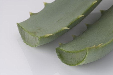 Aloeの写真素材