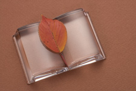 Autumn leaves