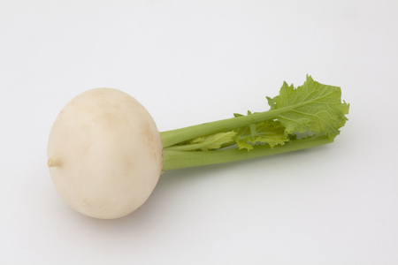 Of the springの写真素材