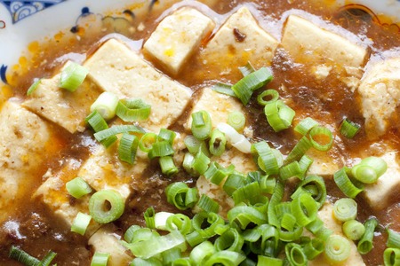 Ma Po tofu