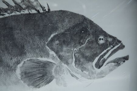 Fish print