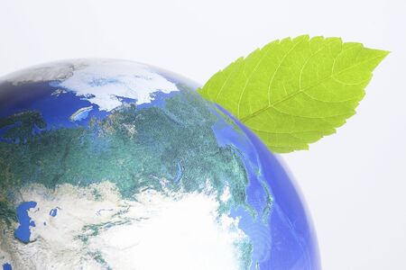 Ecology