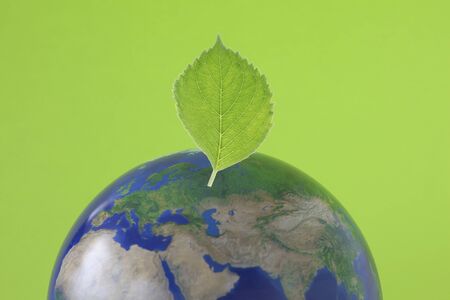 Ecologyの写真素材