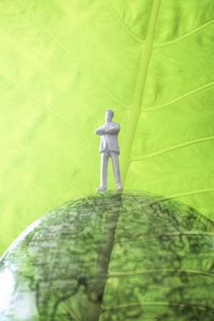 Ecologyの写真素材