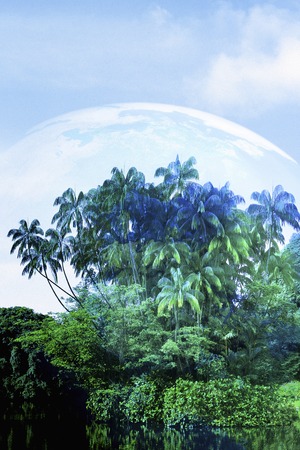 Ecologyの写真素材