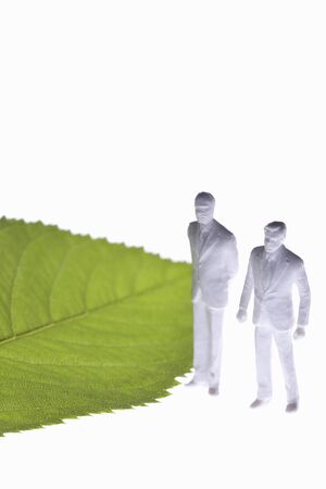 Leaves and dollsの写真素材