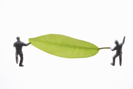 Leaves and dolls