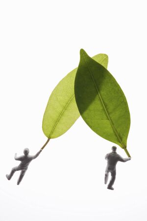 Leaves and dollsの写真素材